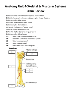 Unit 4 Exam Review