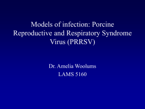 Porcine Reproductive and Respiratory Syndrome Virus (PRRSV)