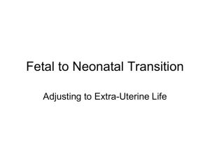 Fetal to Neonatal Transition