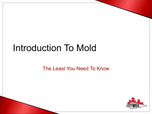 Introduction To Mold