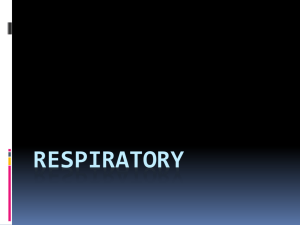 Respiratory - Effingham County Schools