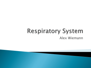 Respiratory - local.brookings.k12.sd.us
