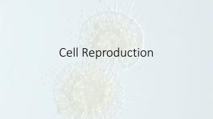 Cell Cycle and Reproduction PPT and Notes