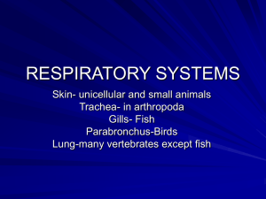 respiratory gases