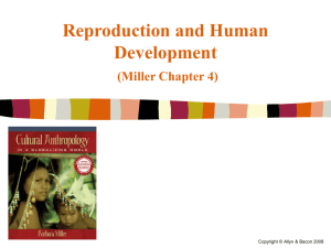 Miller - Chapter 4