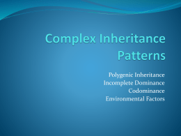 Lesson 2 Content Practice A & B with answers