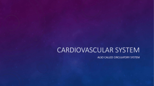 Cardiovascular systeM