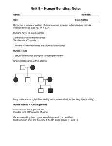 Unit 8 – Human Genetics: Notes