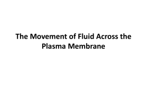 The Movement of Fluid Across the Plasma Membrane
