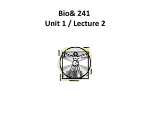 Bio 241 Unit 1 Lecture 2