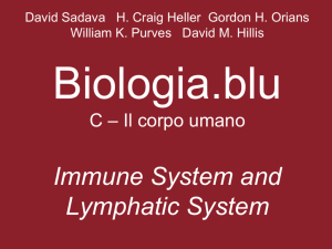 Immune System and Lymphatic System