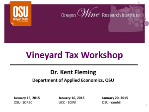 Vineyard Tax Workshop Presentation