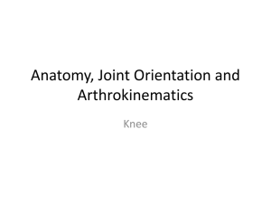 Anatomy-Joint-Orientation-and