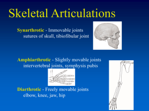 Articulations and Arthritis PowerPoint