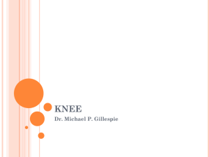 Kinesiology10_Knee1