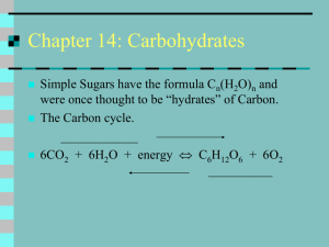 Chapter 13: Carbohydrates