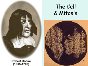 The Cell & Mitosis