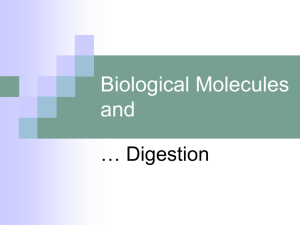 Biochemistry_and_Digestion_2010[1]