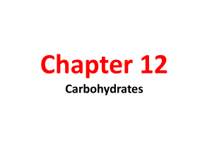 Chapter 12 Carbohydrates - Seattle Central College