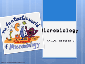 Microbiology ppt