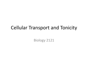 Cellular Transport and Tonicity