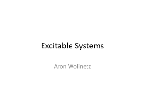 Excitable Systems