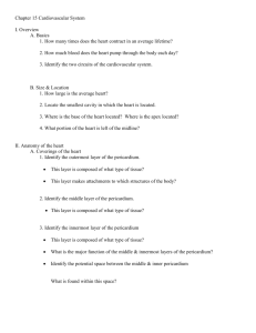 Chapter 15 Cardiovascular System