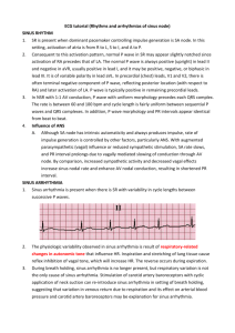 ECG_03 (Rhythm and arrhythmia of sinus node)