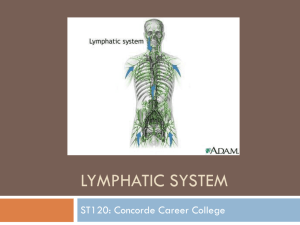 ST120 Lymphatic System