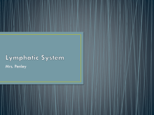 Lymph/Immune System PPT for Review
