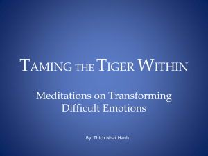TAMING THE TIGER WITHIN