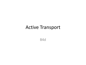 Minerals & Active Transport