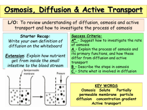 Osmosis, Diffusion & Active Transport L/O