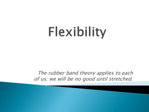 Flexibility PP