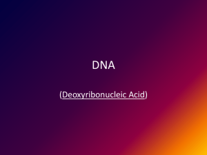 DNA PPT
