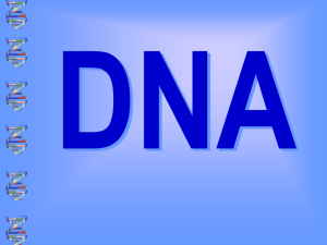DNA/RNA 101