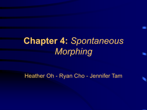 Chapter 4: Spontaneous Morphing