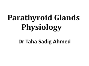08 Parathyrod Gland2013-02