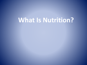 SMED 10 Nutrition PowerPoint