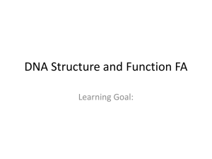 DNA structure formative assessment