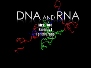 DNA and RNA - WordPress.com