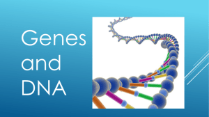 DNA Structure PPT