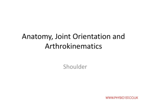 Anatomy-Joint-Orientation-and-Arthrokinematics