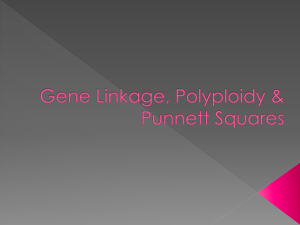 Gene Linkage, Polyploidy & Punnett Squares - Biology-RHS