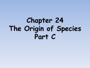 Chapter 24 The Origin of Species Part C