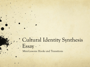 Cultural Identity Synthesis Essay