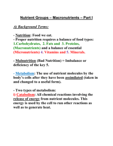 Nutrient Groups – Macronutrients – Part I - Mr. Lesiuk