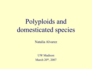 Polyploids and domesticates