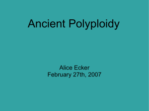 Ancient polyploidy