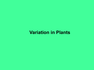 Variation in Plants
